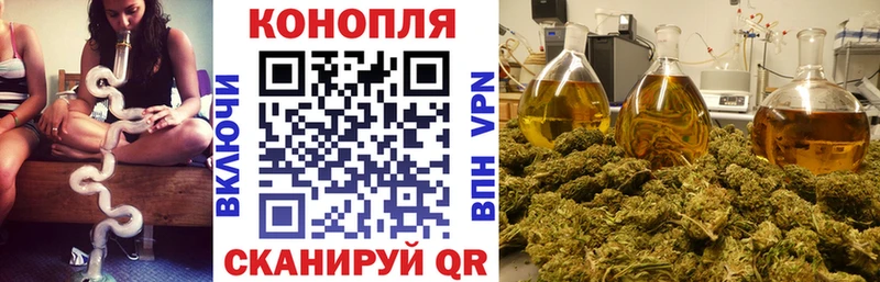 Где можно купить наркотики Химки Cocaine APVP Гашиш МАРИХУАНА Псилоцибиновые грибы БУТИРАТ МЕФ