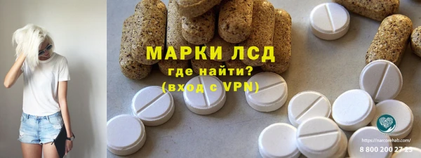МДПВ Бородино