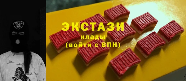 МДПВ Бородино