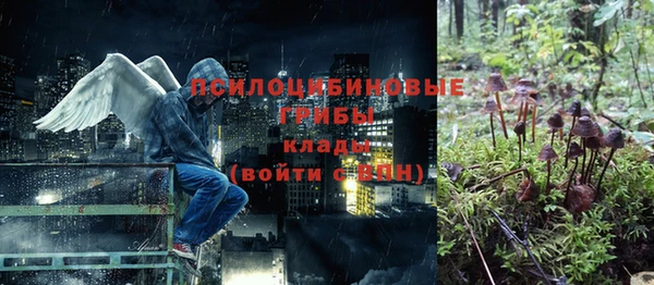 прущий лед Бугульма