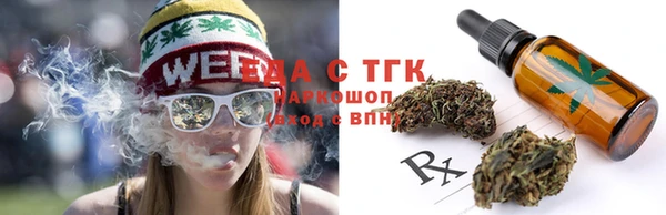 МДПВ Бородино