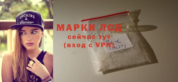 МДПВ Бородино