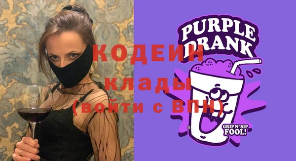 МДПВ Бородино