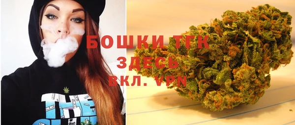 МДПВ Бородино